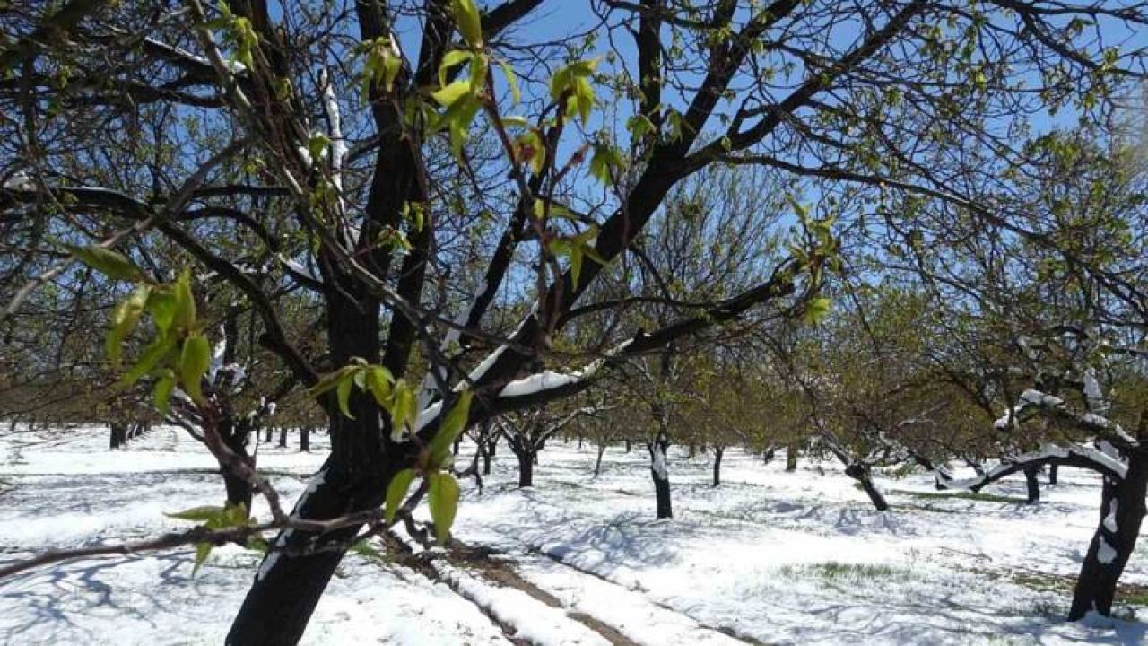 CHP, zirai don felaketi için afet bölgesi ilanı talebini Meclis’e taşıdı