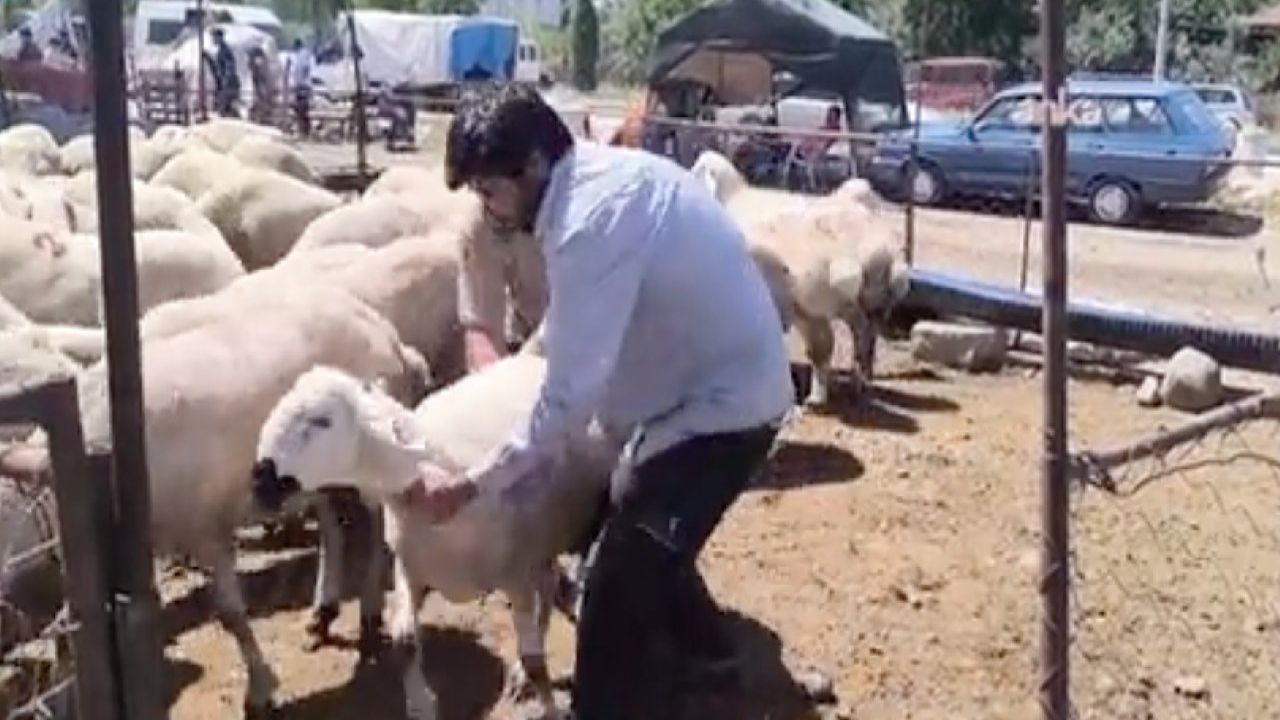 Emekli Maaşı Kurbanlığa, Bir Ay Taş Yemeye mi Yetiyor?

