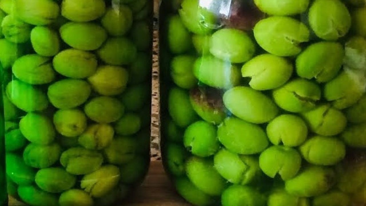 Zeytinin Tuzu Nasıl Alınır? İşte Sofralık Zeytin Kurulumunun Püf Noktaları!
