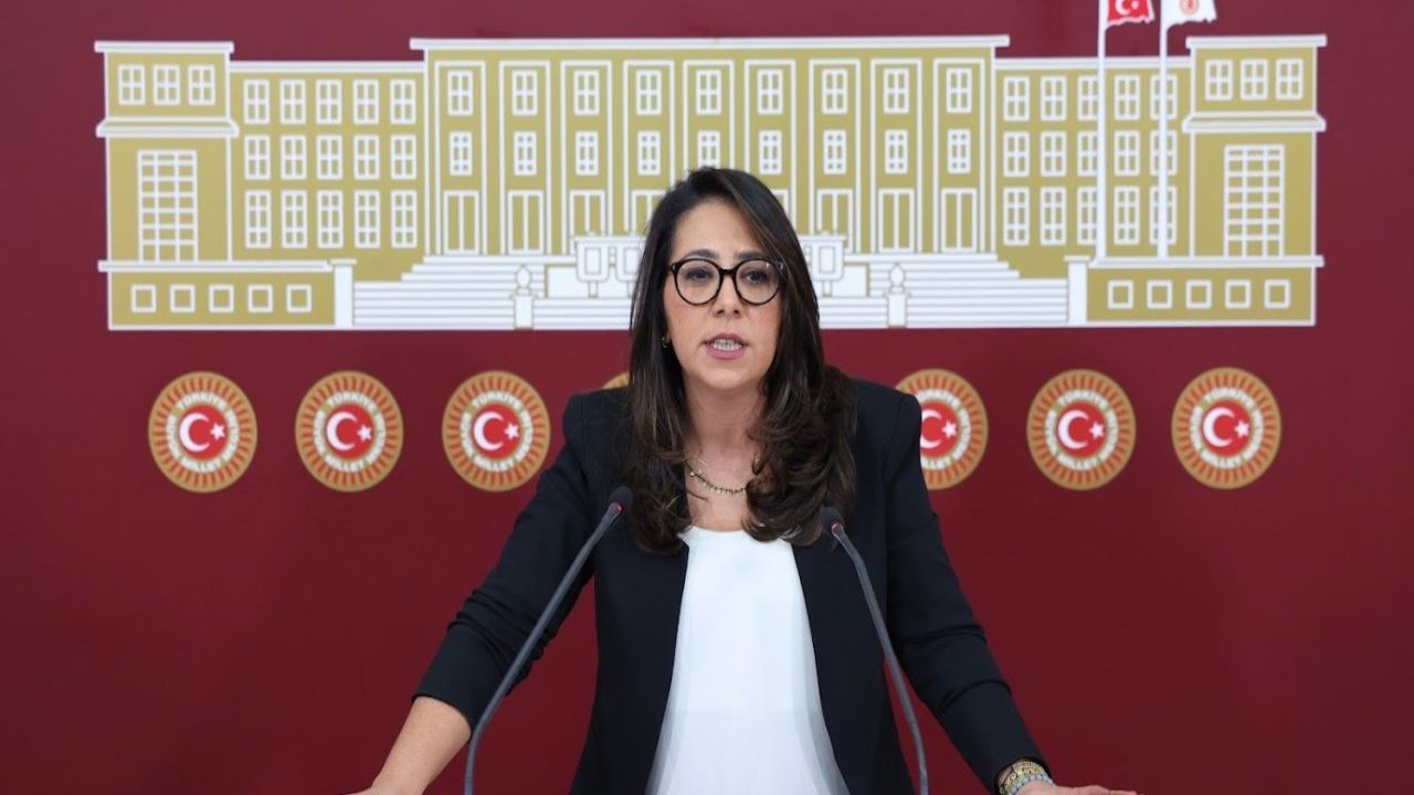 Sera Kadıgil'in Çağrısı Sonrası Elektrik Şirketlerine Soruşturma Başlatıldı Mı?
