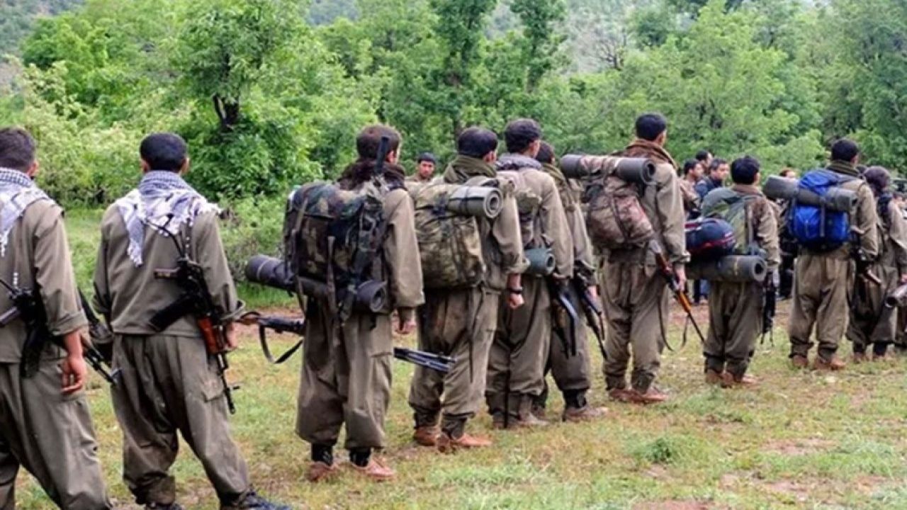 Dem Parti'den Silah Bırakma Çağrısı: "Bir Grup PKK'lı Silah Bırakacak, Köşe Yazarları İzleyecek"
