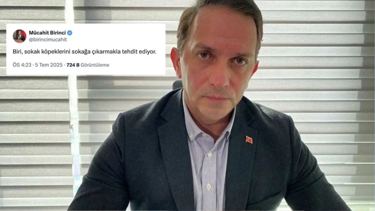 Ak Partili Mücahit Birinci'nin Sokak Köpekleri Paylaşımı Tepki Çekti
