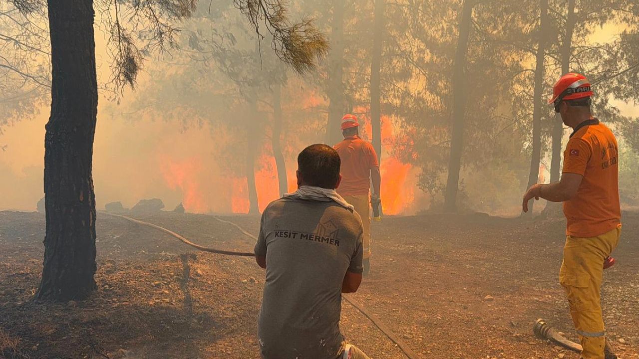 Antalya'da orman yangınları: Sıcaklıklar rekor seviyede
