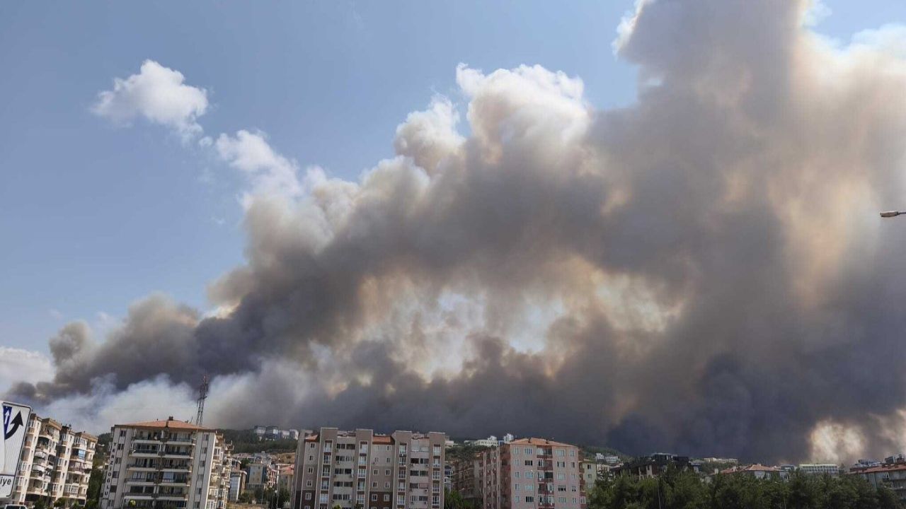 Bakan Yumaklı: Çanakkale yangınında 4 kişi gözaltına alındı
