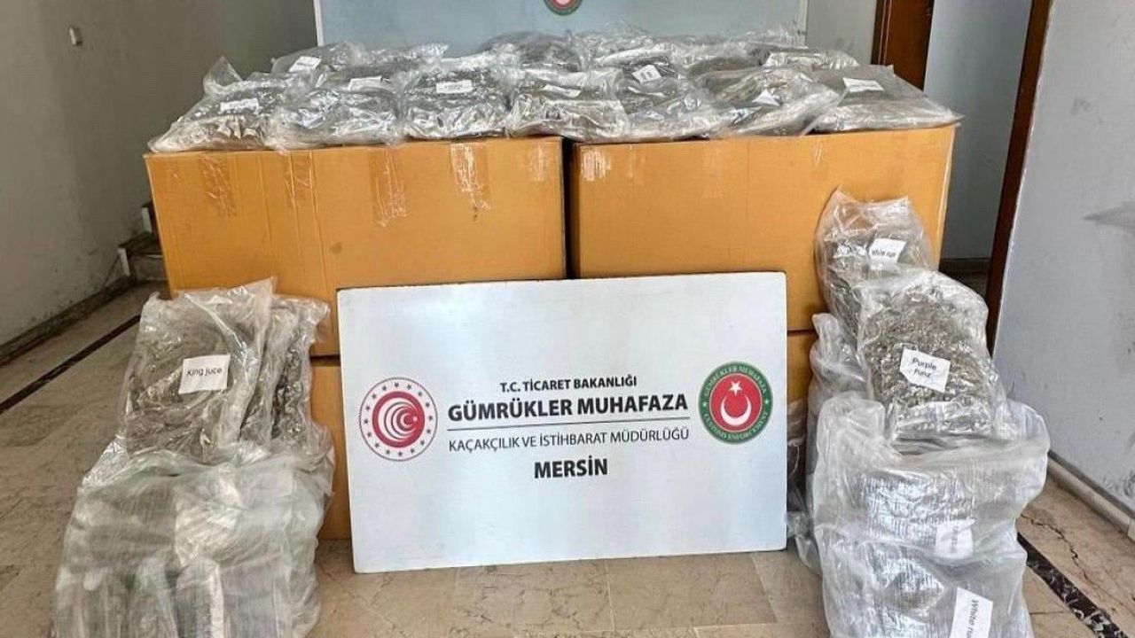 Mersin Limanı'nda Konteynerde Yüksek Miktarda Esrar Yakalandı
