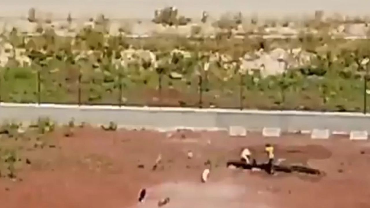 Kars Belediyesi Barınağında Köpeklere Sopayla İşkence İddiası
