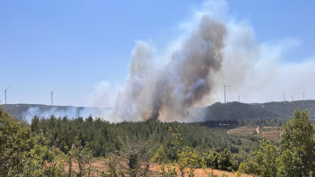 Çanakkale'de Yangın Yeniden Alevlendi, Köylere Yaklaşıyor
