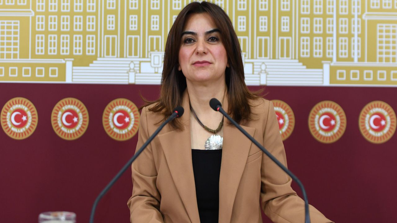 Dem Partili Koçyiğit: Komisyon Öcalan'la Görüşmeli
