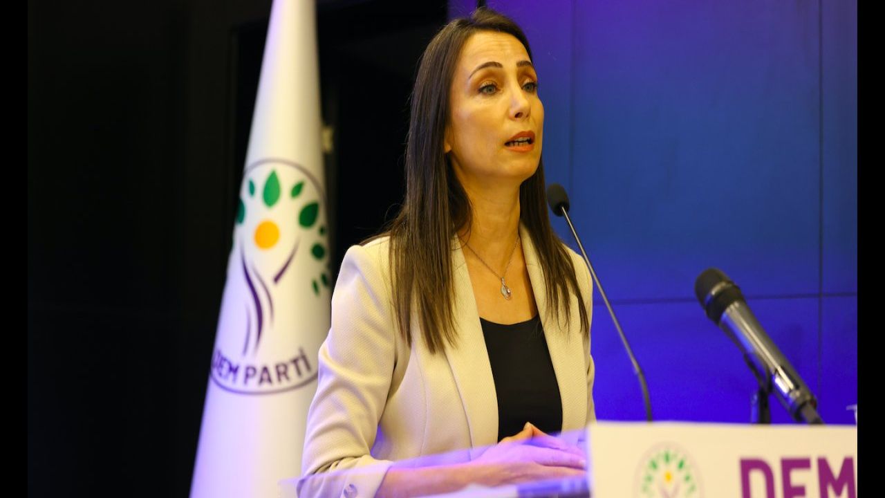Hatimoğulları: "İç Barış İçin İktidar Baskılara Son Vermeli"
