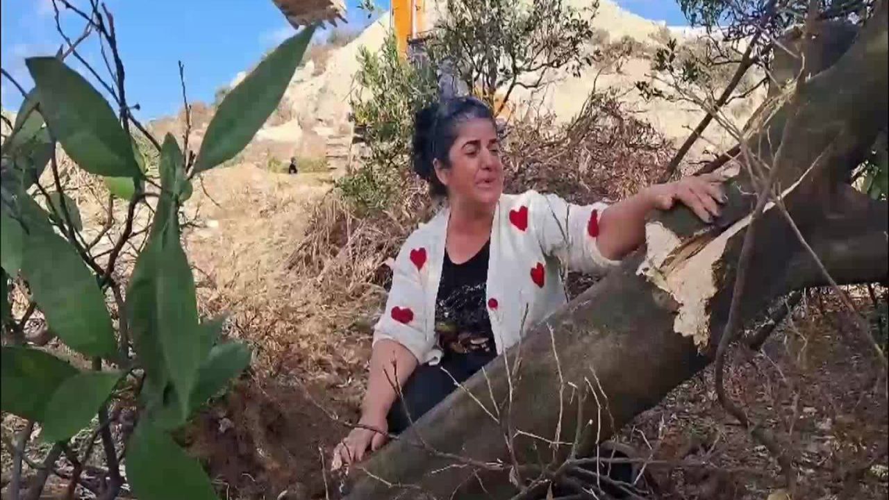 Hatay'da İhtilaflı Arazilere Mahkeme Devam Ederken Kepçeler Girdi
