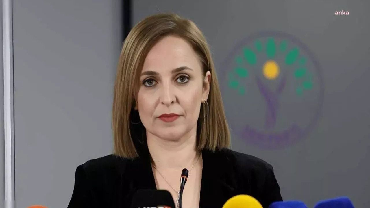 Dem Partili Doğan: Yasal Düzenleme Çağrısı