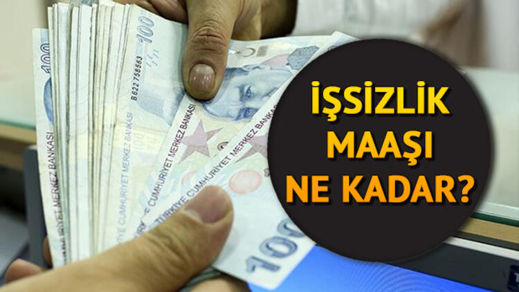 2020 işsizlik maaşı ne kadar oldu?