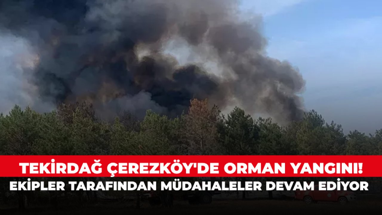 Tekirdağ Çerezköy'de orman yangını! Ekipler tarafından müdahaleler devam ediyor
