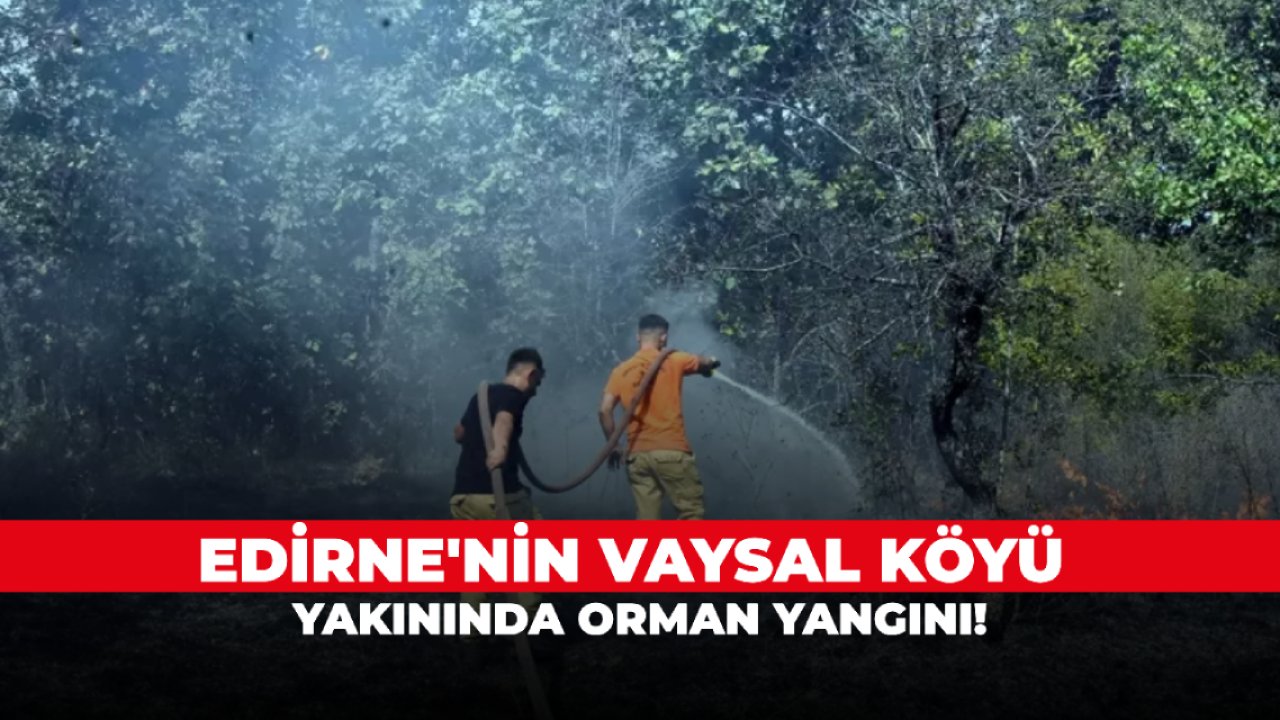 Edirne'nin Vaysal köyü yakınında orman yangını!
