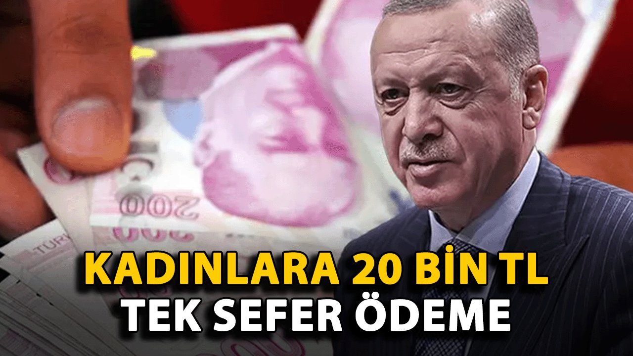 Kadınlara 20.000 TL Devlet Desteği! Ekim Ayında Başvurular Başladı