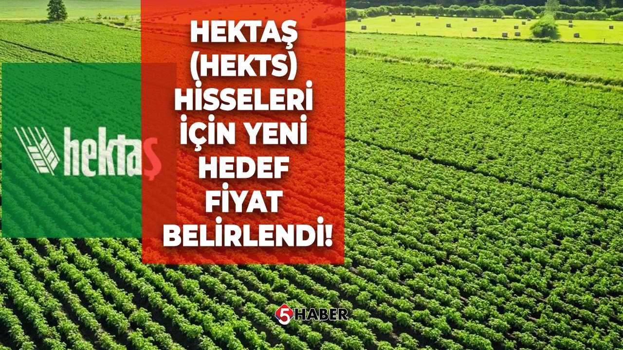 Hektaş (HEKTS) Hisseleri İçin Yeni Hedef Fiyat Belirlendi!