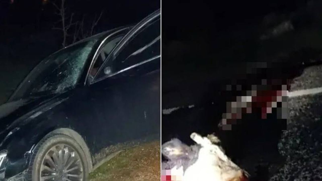 Şırnak'ta araç ineğe çarptı: 2 yaralı