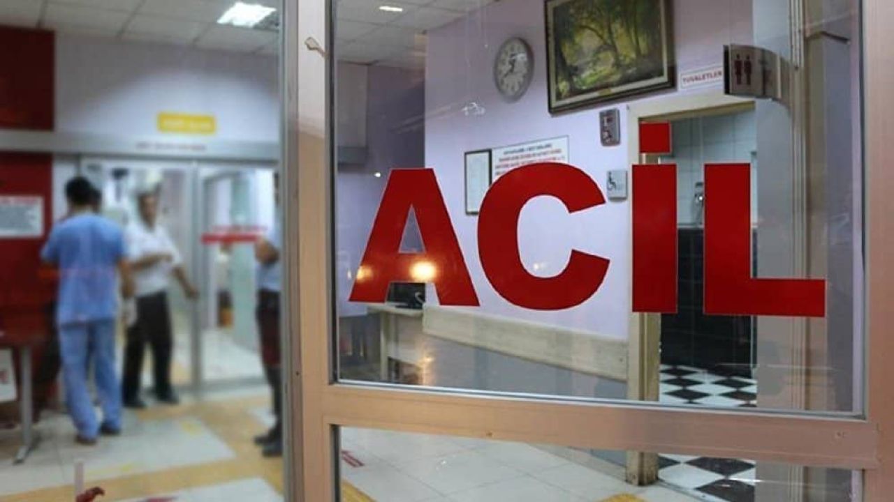 Orman İşçisi Üzerine Ağaç Parçası Düşmesi Sonucu Yaşamını Yitirdi